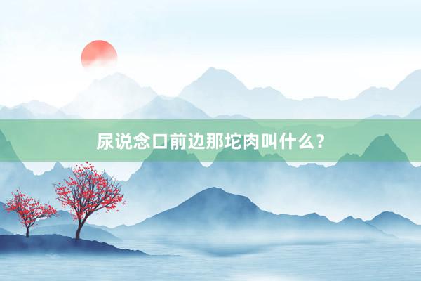 尿说念口前边那坨肉叫什么？