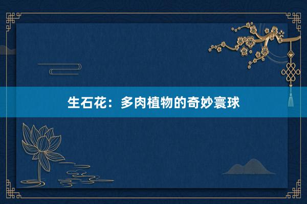 生石花：多肉植物的奇妙寰球