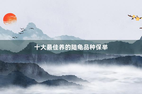 十大最佳养的陆龟品种保举