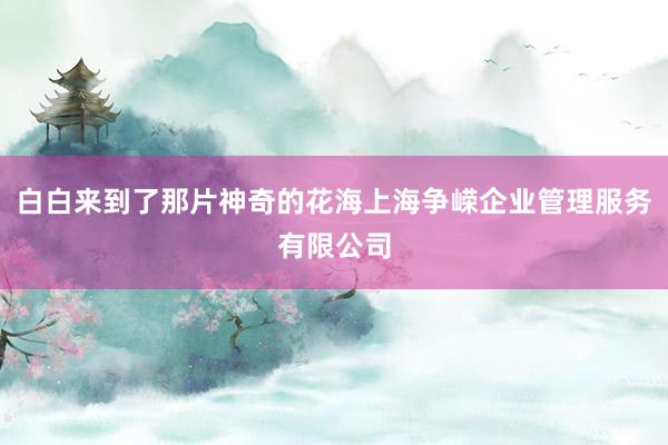 白白来到了那片神奇的花海上海争嵘企业管理服务有限公司