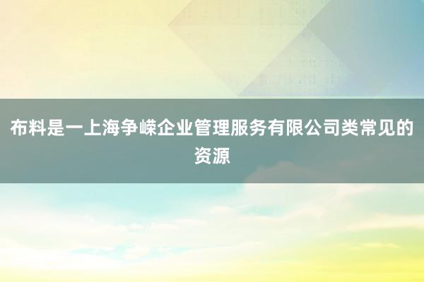 布料是一上海争嵘企业管理服务有限公司类常见的资源